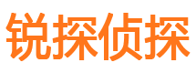 龙马潭调查事务所